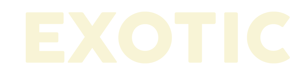 exotic fruit exporter