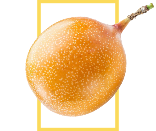 granadilla exotic fruit exporter