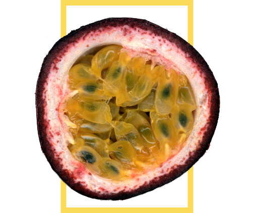 passion-fruit-alnattural contact exotic fruit exporter