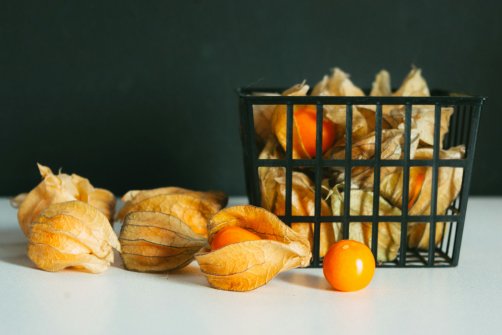 physalis exotic fruit exporter
