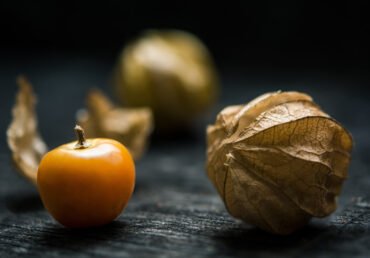 Sustainable Sourcing of Exotic Fruits